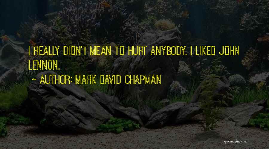 Didn't Mean To Hurt Quotes By Mark David Chapman