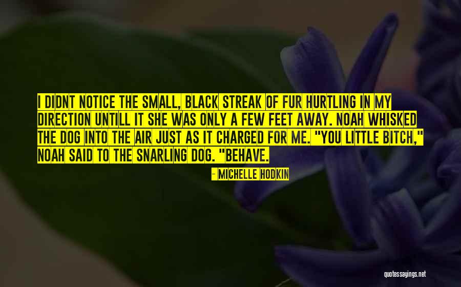Didnt You Quotes By Michelle Hodkin Didnt You Quotes By Michelle Hodkin