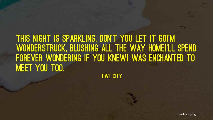 Didomenico Restaurants Quotes By Owl City Didomenico Restaurants Quotes By Owl City