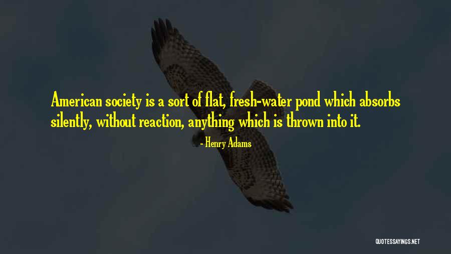 Didonato Tax Quotes By Henry Adams Didonato Tax Quotes By Henry Adams
