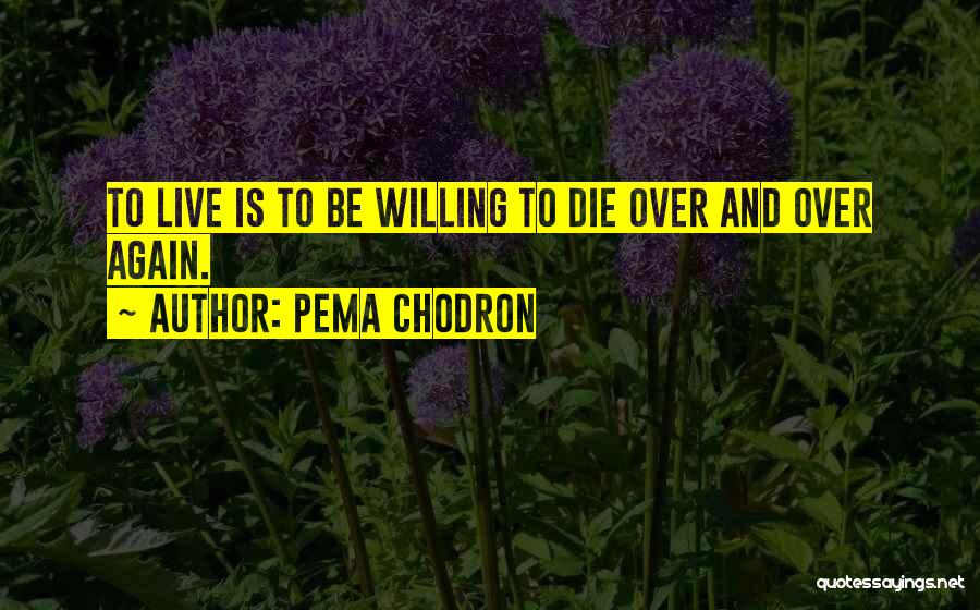 Die And Live Quotes By Pema Chodron