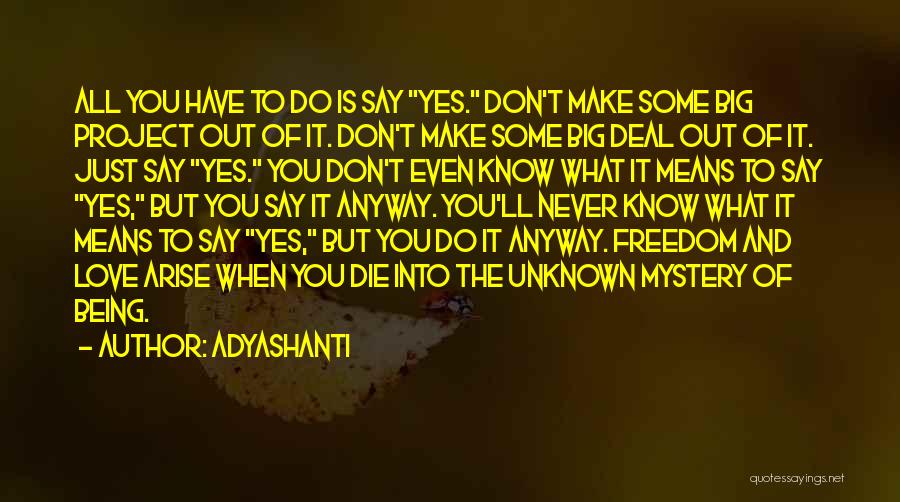 Die Anyway Quotes By Adyashanti