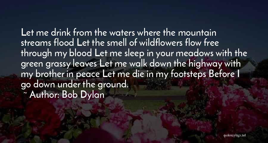 Die For My Brother Quotes By Bob Dylan