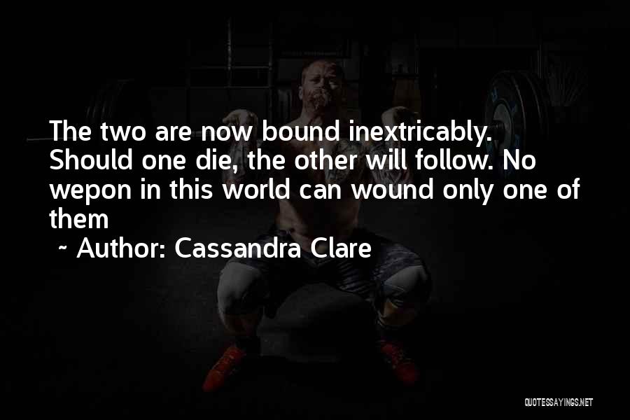 Die For My Brother Quotes By Cassandra Clare