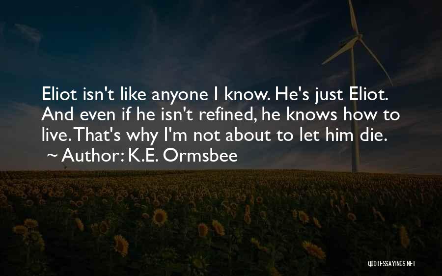 Die For Something Or Live For Nothing Quotes By K.E. Ormsbee