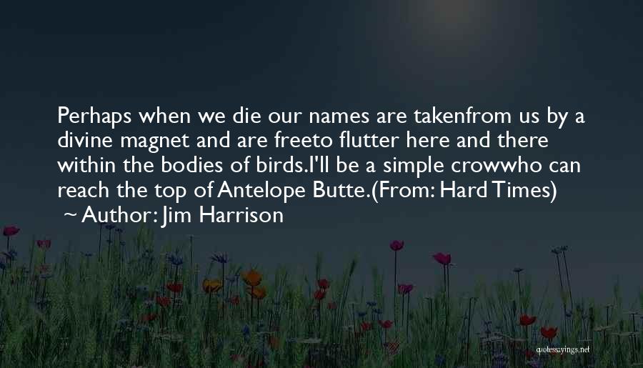 Die Hard Quotes By Jim Harrison