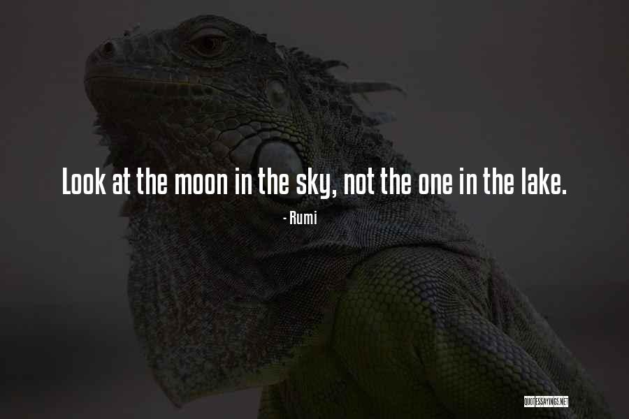 Diederick Motors Quotes By Rumi Diederick Motors Quotes By Rumi