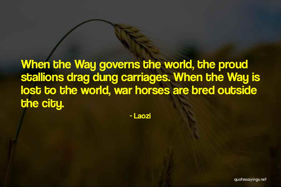 Diefendorf Chips Quotes By Laozi Diefendorf Chips Quotes By Laozi