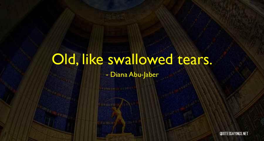 Diegans Quotes By Diana Abu-Jaber