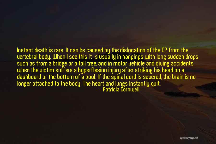 Diego Fazio Quotes By Patricia Cornwell Diego Fazio Quotes By Patricia Cornwell