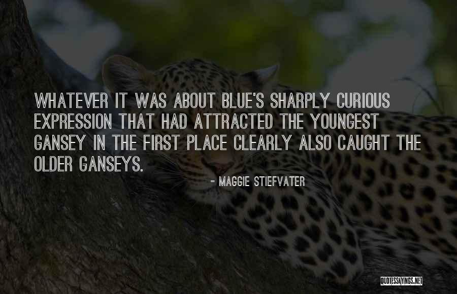 Dieken Luggage Quotes By Maggie Stiefvater Dieken Luggage Quotes By Maggie Stiefvater