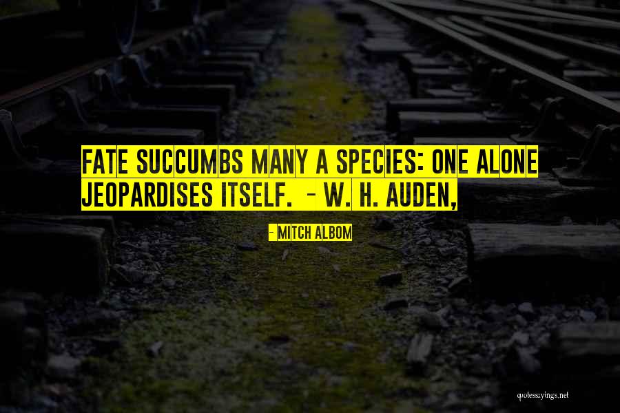 Dielli Ny Quotes By Mitch Albom Dielli Ny Quotes By Mitch Albom