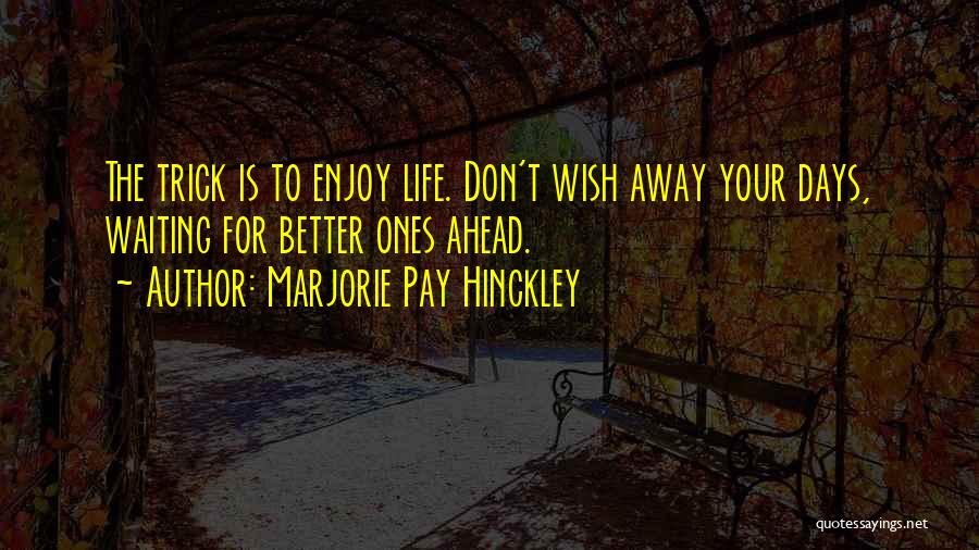 Diem Quotes By Marjorie Pay Hinckley