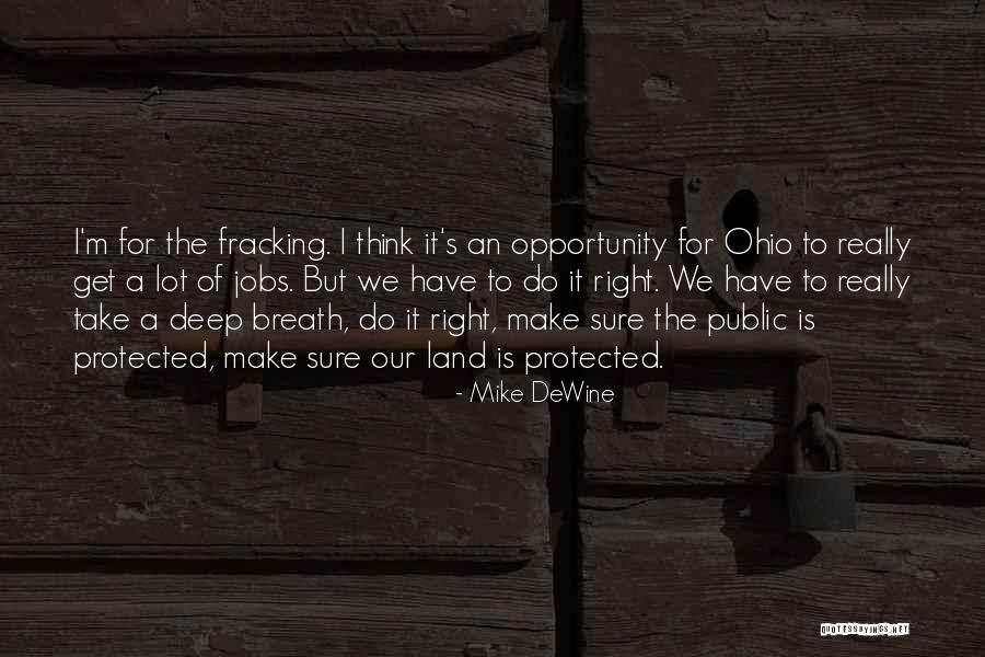 Diep Flap Quotes By Mike DeWine Diep Flap Quotes By Mike DeWine