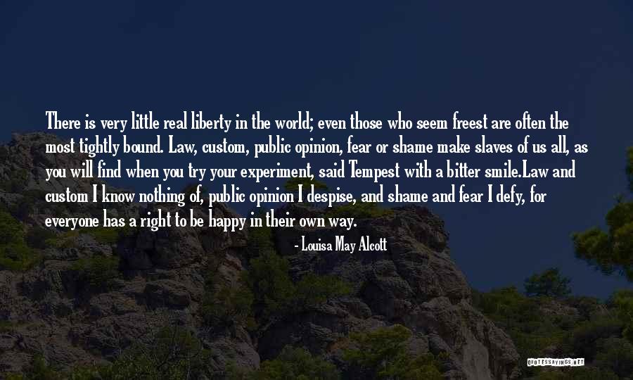 Diepte Investering Quotes By Louisa May Alcott Diepte Investering Quotes By Louisa May Alcott