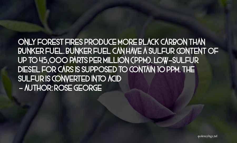 Diesel Quotes By Rose George