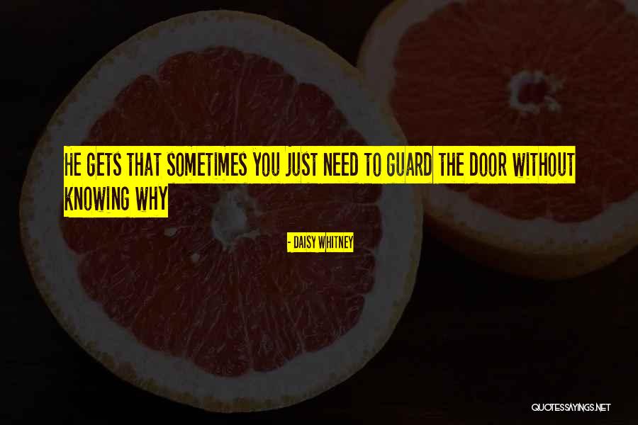 Diestelkamp Llc Quotes By Daisy Whitney Diestelkamp Llc Quotes By Daisy Whitney