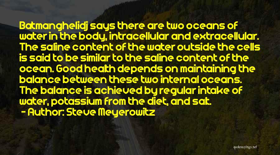 Diet And Health Quotes By Steve Meyerowitz