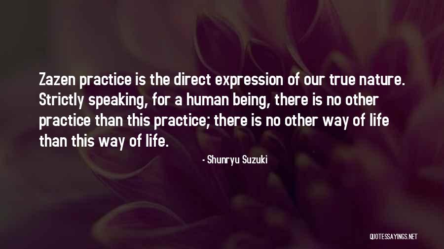 Dieteren Belgique Quotes By Shunryu Suzuki Dieteren Belgique Quotes By Shunryu Suzuki