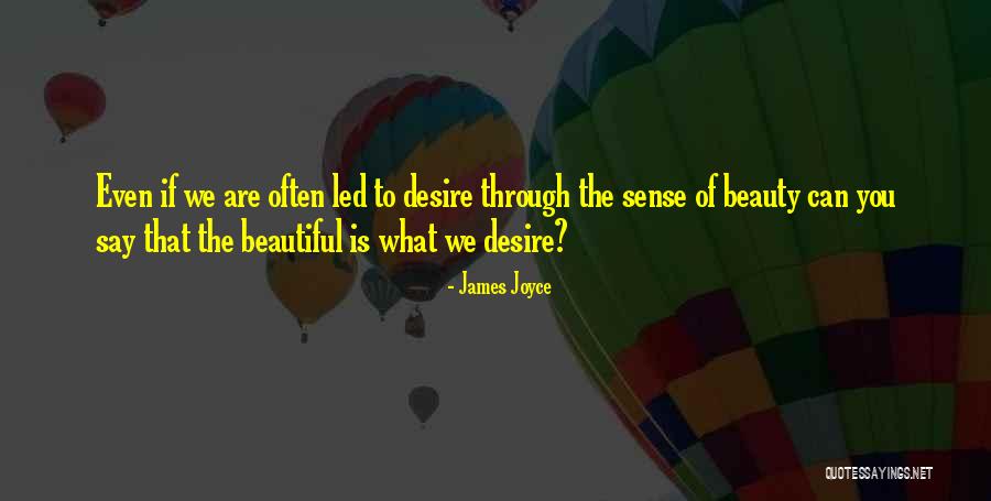 Diethard Monbaliu Quotes By James Joyce Diethard Monbaliu Quotes By James Joyce