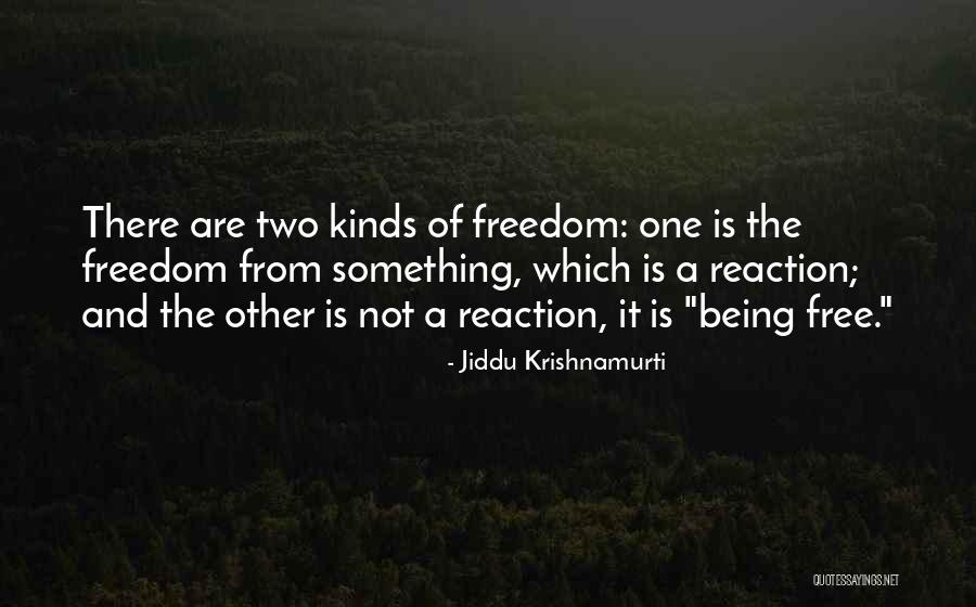 Dietlind Vander Quotes By Jiddu Krishnamurti Dietlind Vander Quotes By Jiddu Krishnamurti