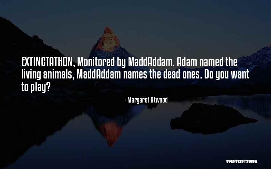 Dietmar Hamann Quotes By Margaret Atwood Dietmar Hamann Quotes By Margaret Atwood