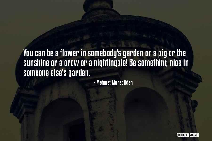 Difatta Graphics Quotes By Mehmet Murat Ildan Difatta Graphics Quotes By Mehmet Murat Ildan