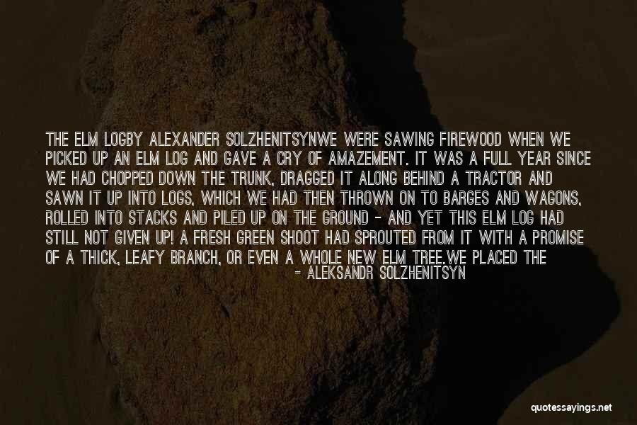 Diferida El Quotes By Aleksandr Solzhenitsyn Diferida El Quotes By Aleksandr Solzhenitsyn