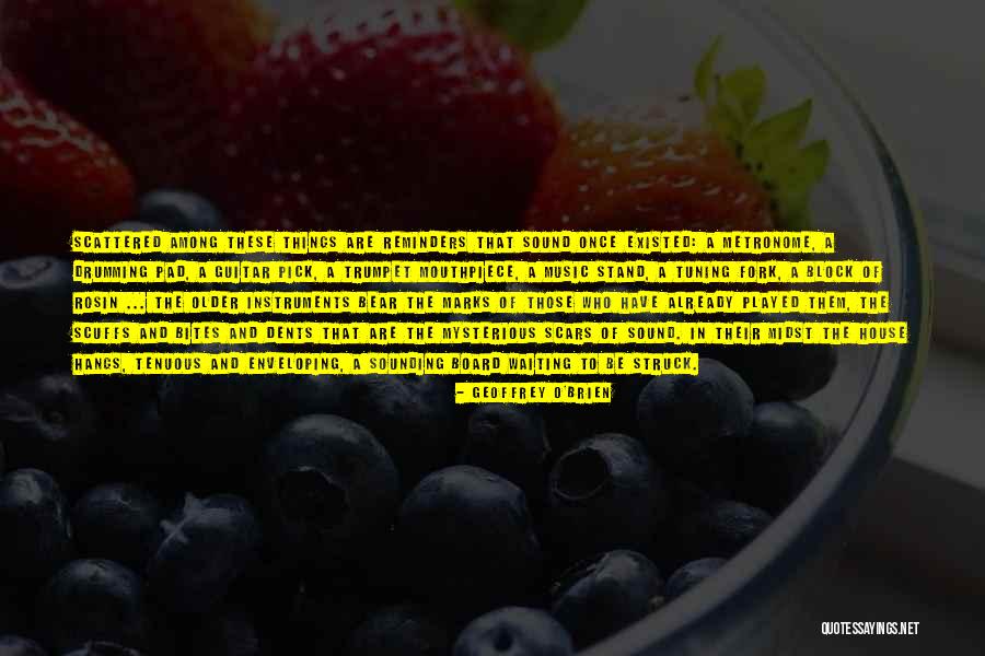 Difetti Trasmissibili Quotes By Geoffrey O'Brien Difetti Trasmissibili Quotes By Geoffrey O'Brien