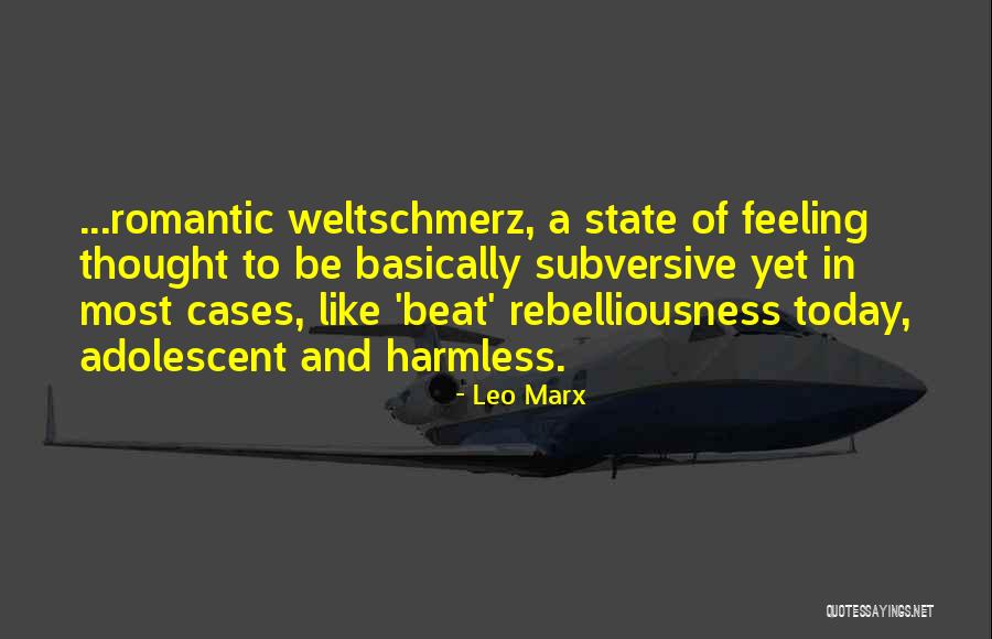 Diffabilities Quotes By Leo Marx Diffabilities Quotes By Leo Marx