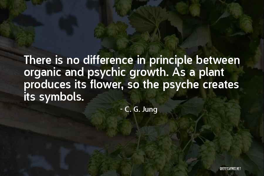 Difference Between And ' In Quotes By C. G. Jung