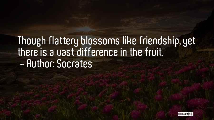 Difference In Friendship Quotes By Socrates