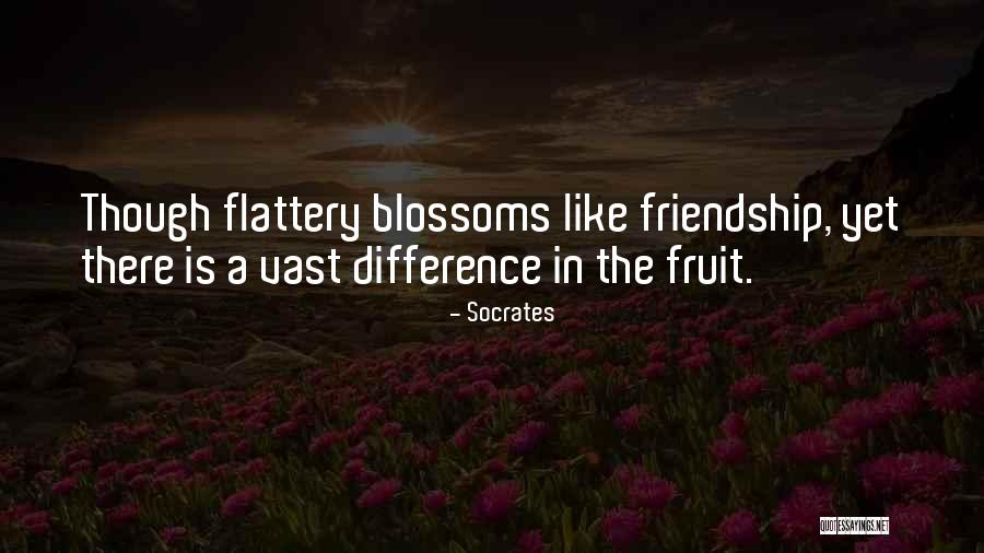 Difference In Friendship Quotes By Socrates