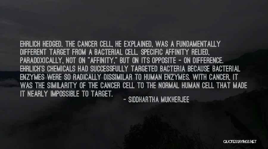 Difference Within Similarity Quotes By Siddhartha Mukherjee Difference Within Similarity Quotes By Siddhartha Mukherjee