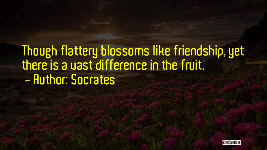 Differences And Friendship Quotes By Socrates