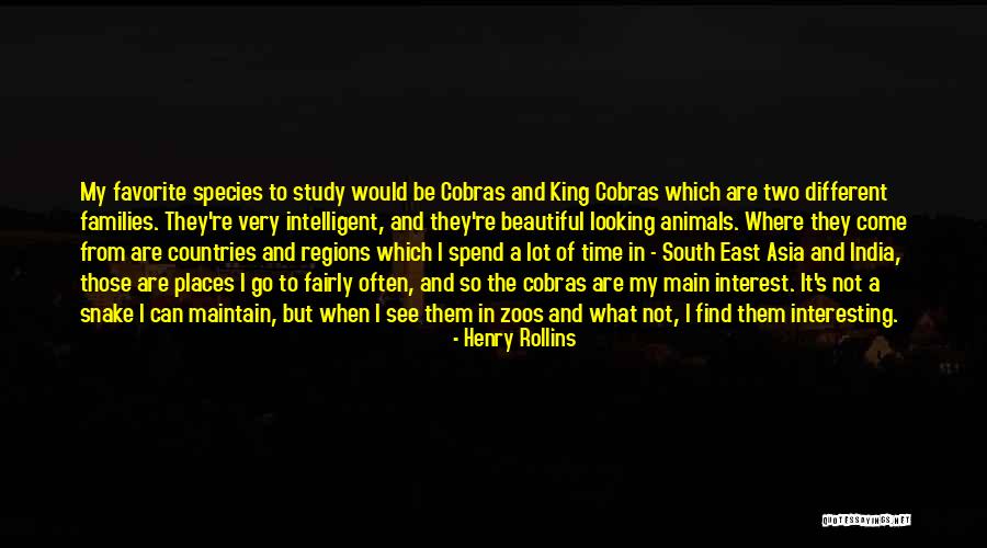 Different And Beautiful Quotes By Henry Rollins Different And Beautiful Quotes By Henry Rollins