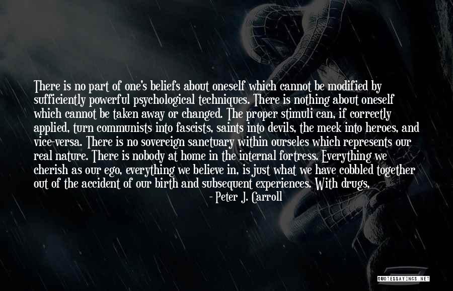 Different Beliefs Quotes By Peter J. Carroll Different Beliefs Quotes By Peter J. Carroll