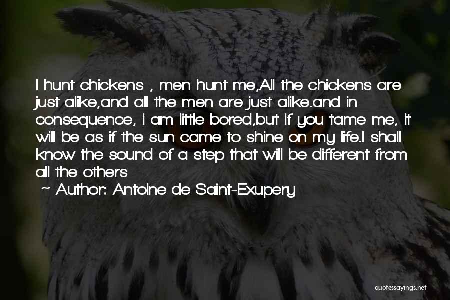 Different But Alike Quotes By Antoine De Saint-Exupery