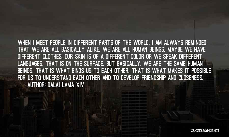 Different But Alike Quotes By Dalai Lama XIV