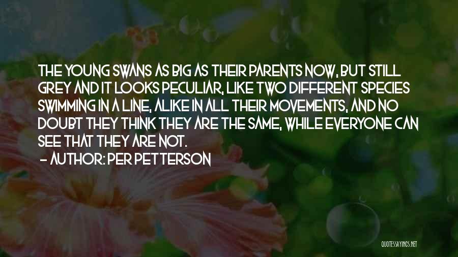 Different But Alike Quotes By Per Petterson