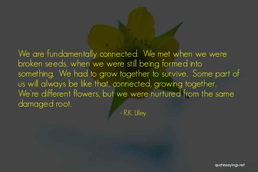 Different But Together Quotes By R.K. Lilley