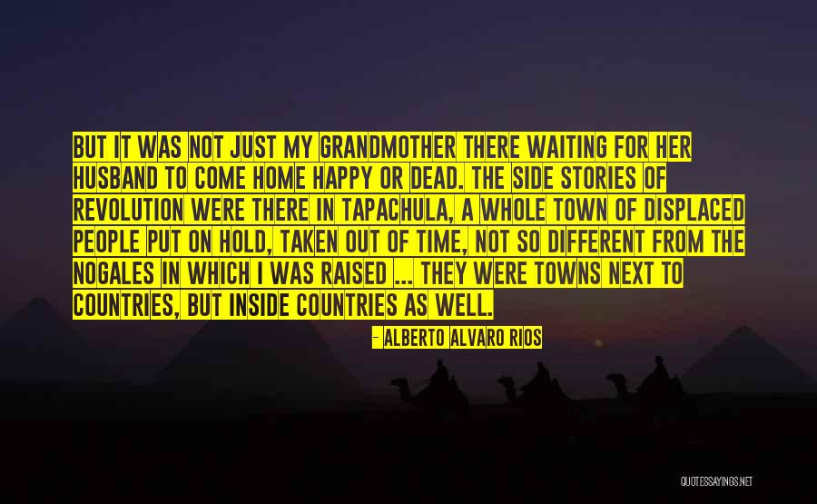 Different Countries Quotes By Alberto Alvaro Rios