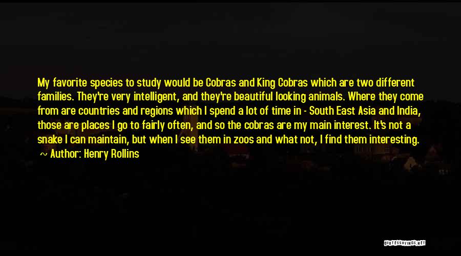 Different Countries Quotes By Henry Rollins