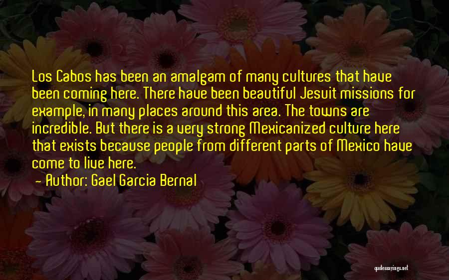 Different Cultures Quotes By Gael Garcia Bernal