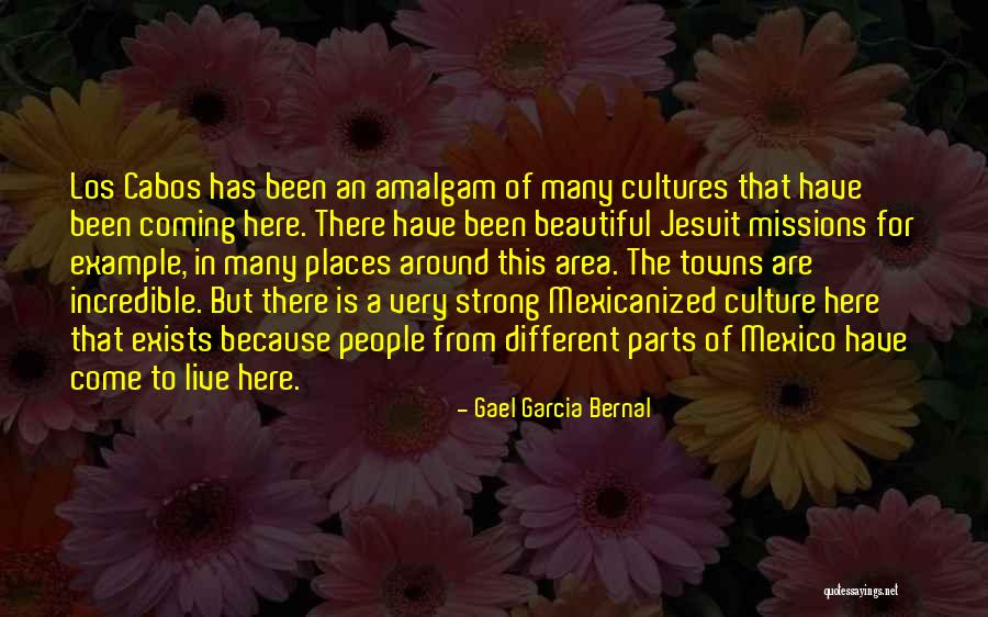 Different Cultures Quotes By Gael Garcia Bernal