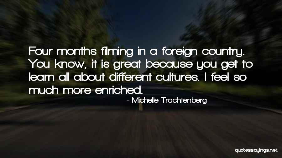 Different Cultures Quotes By Michelle Trachtenberg