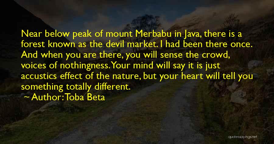 Different Devil Quotes By Toba Beta