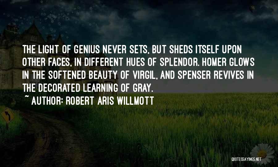 Different Faces Quotes By Robert Aris Willmott