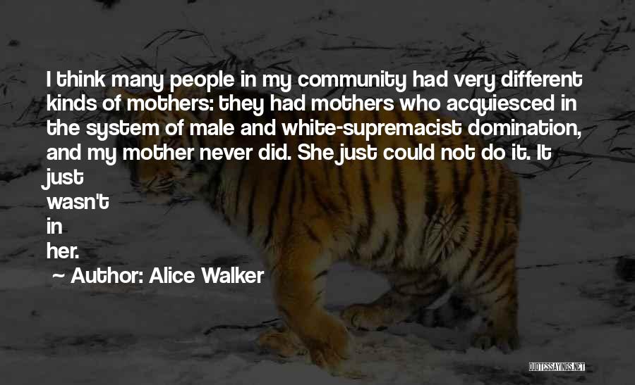 Different Kinds Of Mothers Quotes By Alice Walker