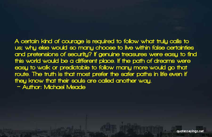 Different Life Paths Quotes By Michael Meade